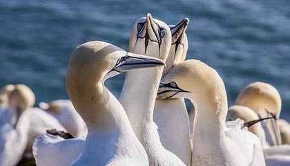 武义县2026年最新北京商务伴游经纪招聘渠道分享(最方便真实的武义县北京爱特博旅运服务有限责任公司招聘方法)