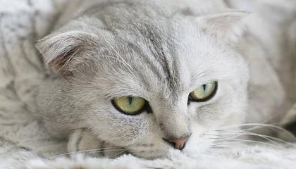 武义县2026年最新北京商务伴游经纪招聘渠道分享(最方便真实的武义县北京爱特博旅运服务有限责任公司招聘方法)